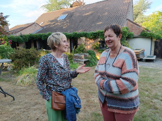Image 25